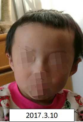 舔骚逼逼网